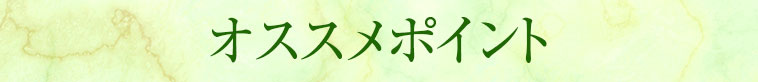 おすすめポイント