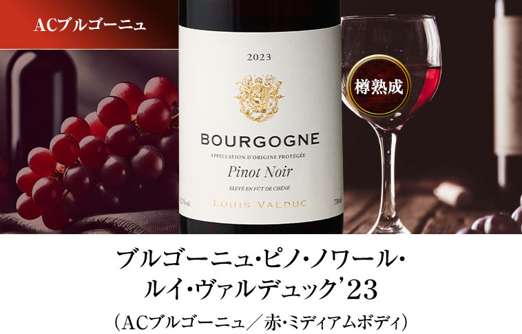 ブルゴーニュ・ピノ・ノワール・ルイ・ヴァルデュック’２３（ACブルゴーニュ／赤・ミディアムボディ）