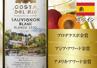 コスタ・デル・リオ・ソーヴィニヨン・ブラン’２３
