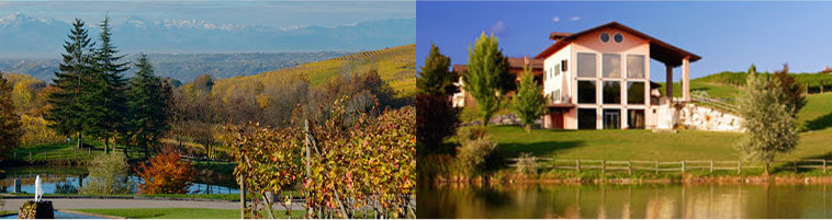 カッシーナ・ゲルチーナのワイナリー風景