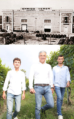 生産者：ナターレ・ヴェルガ