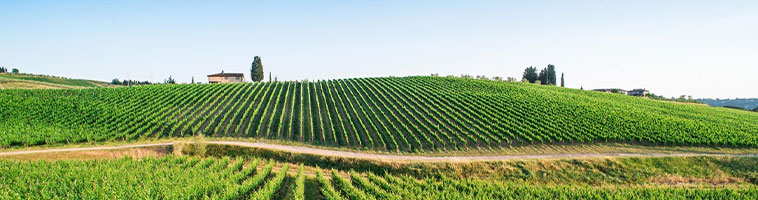 モンフェラート地方・コッコナートの風景