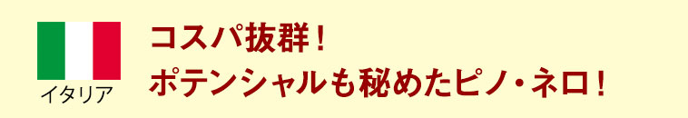 イタリア　コスパ抜群！ポテンシャルも秘めたピノ・ネロ！