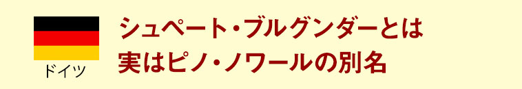 ドイツ　シュペート・ブルグンダーとは実はピノ・ノワールの別名