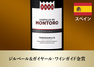 カスティーリョ・デ・モントロ