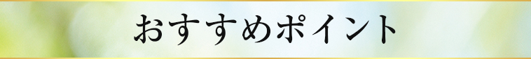オススメポイント 2
