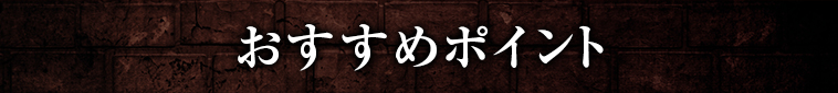オススメポイント