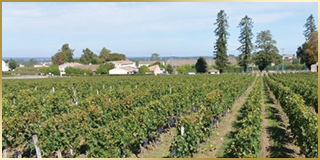 ボルドー・シュペリュール