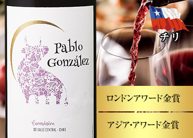 パブロ・ゴンザレス・カルメネール