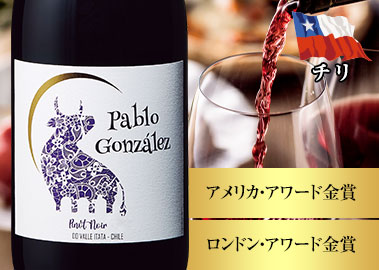 パブロ・ゴンザレス・ピノ・ノワール