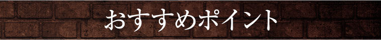 おすすめポイント