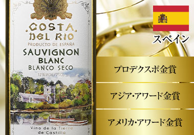 コスタ・デル・リオ・ソーヴィニヨン・ブラン’２３