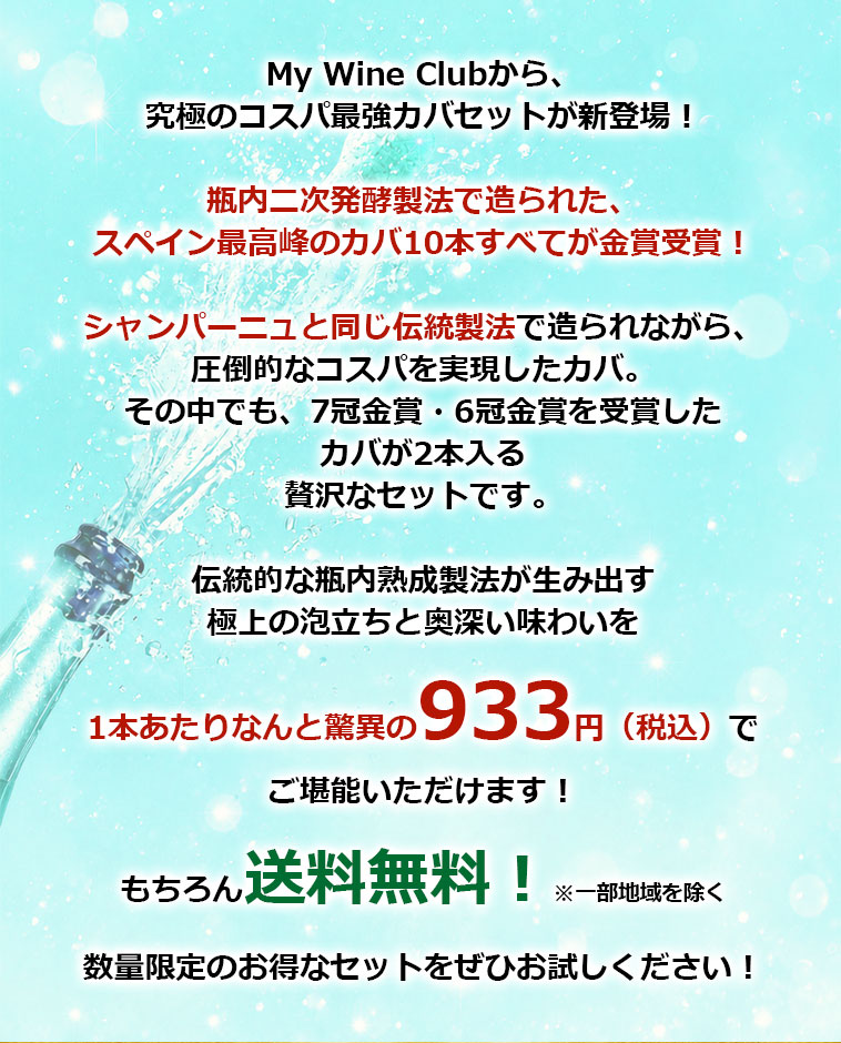 1本あたりなんと驚異の933円（税込）