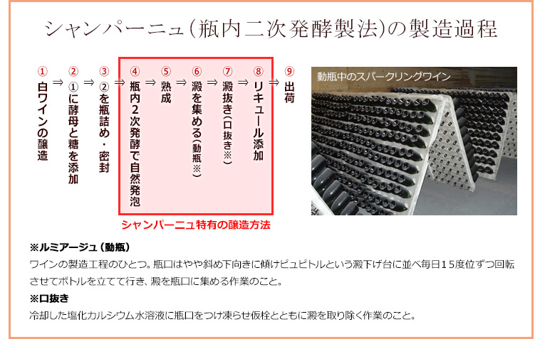 シャンパーニュ（瓶内二次発酵製法)の製造過程
