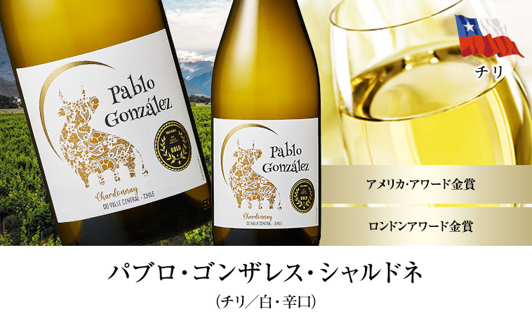 パブロ・ゴンザレス・シャルドネ （チリ／白・辛口）