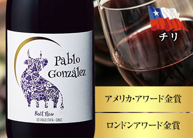 パブロ・ゴンザレス・ピノ・ノワール