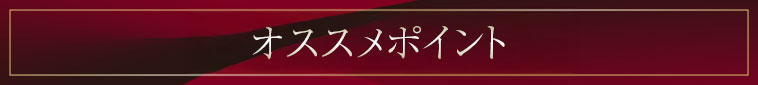オススメポイント