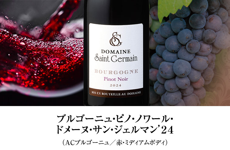 ブルゴーニュ・ピノ・ノワール・ドメーヌ・サン・ジェルマン’２４（ACブルゴーニュ／赤・ミディアムボディ）