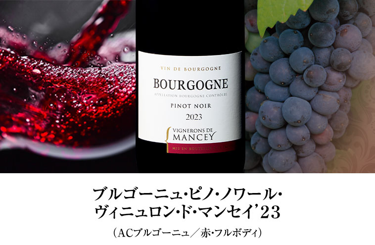 ブルゴーニュ・ピノ・ノワール・ヴィニュロン・ド・マンセイ’２３（ACブルゴーニュ／赤・フルボディ）