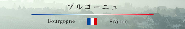 ブルゴーニュ