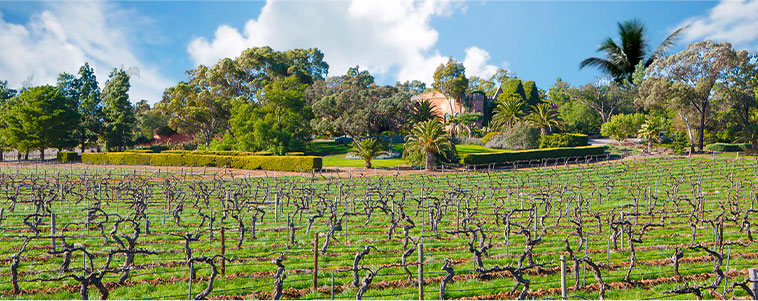 イーデンヴァレーの風景