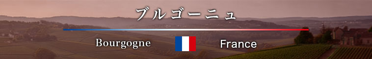 ブルゴーニュ