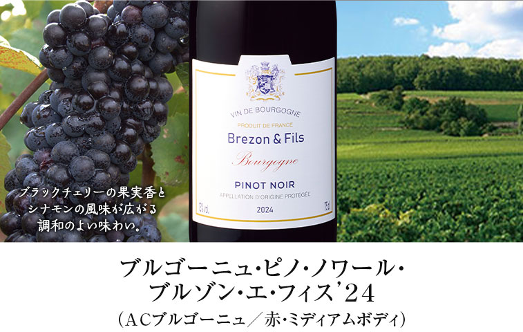 ブルゴーニュ・ピノ・ノワール・ブルゾン・エ・フィス’２４（ACブルゴーニュ／赤・ミディアムボディ）