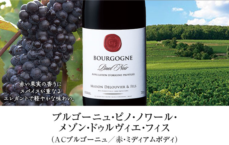 ブルゴーニュ・ピノ・ノワール・メゾン・ドゥルヴィエ・フィス（ACブルゴーニュ／赤・ミディアムボディ）