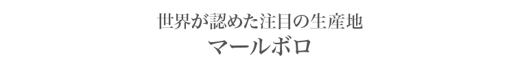 世界が認めた注目の生産地 マールボロ