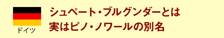 ドイツ　シュペート・ブルグンダーとは実はピノ・ノワールの別名