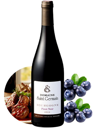ブルゴーニュ・ピノ・ノワール・ドメーヌ・サン・ジェルマン’２４