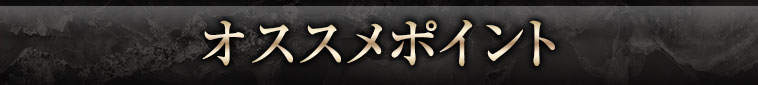 おすすめポイント
