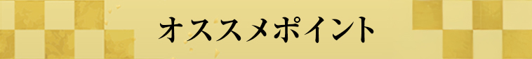 オススメポイント