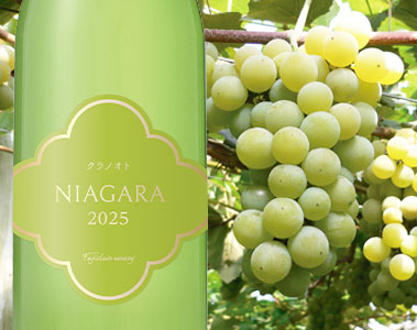 クラノオト ナイアガラ2025