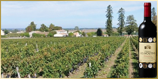 ボルドー・シュペリュール