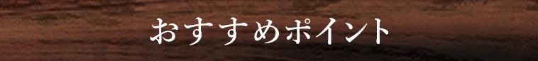 オススメポイント1