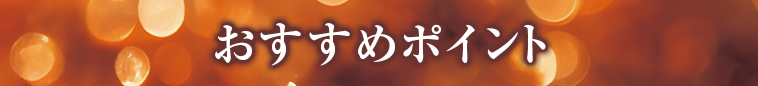 オススメポイント1