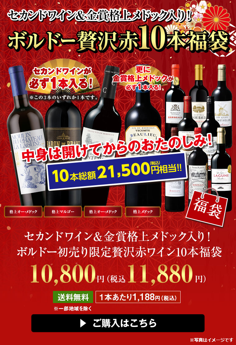 セカンドワイン＆5冠金賞クリュ・ブルジョワ入り！ボルドー贅沢赤ワイン10本セット
