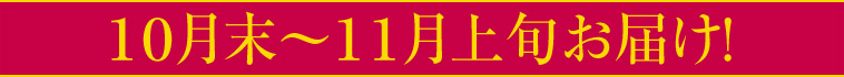 １０月末～１１月上旬お届け！