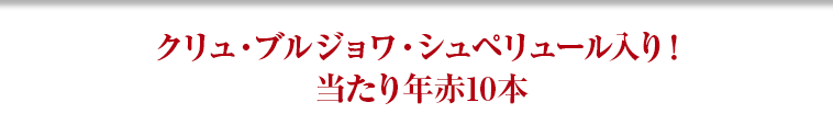 クリュ・ブルジョワ・シュペリュール入り！当たり年赤10本