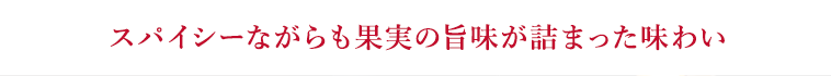 スパイシーながらも果実の旨味が詰まった味わい