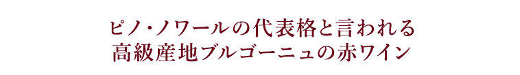 ピノ・ノワールの代表格と言われる高級産地ブルゴーニュの赤ワイン