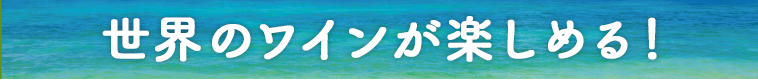 世界のワインが楽しめる！