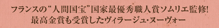 フランスの“人間国宝”国家最優秀職人賞ソムリエ監修！最高金賞も受賞したヴィラージュ・ヌーヴォー 