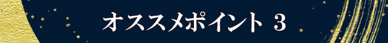 オススメポイント 3