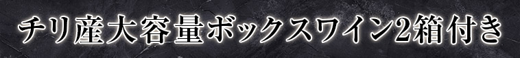チリ産大容量ボックスワイン2箱付き