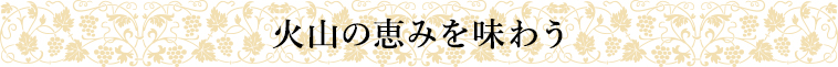火山の恵みを味わう