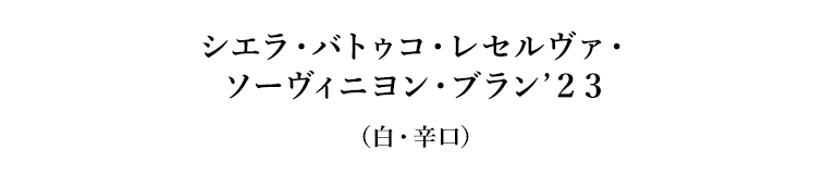 シエラ・バトゥコ・レセルヴァ・ソーヴィニヨン・ブラン’２３（白・辛口）