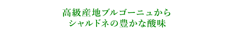 高級産地ブルゴーニュからシャルドネの豊かな酸味