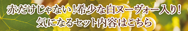 赤だけじゃない！希少な白ヌーヴォー入り！気になるセット内容はこちら